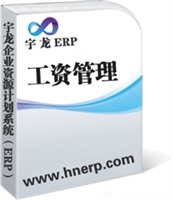 宇龙ERP-工资管理