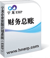 宇龙ERP-财务总账