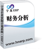 宇龙ERP-财务分析