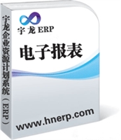宇龙ERP-电子报表