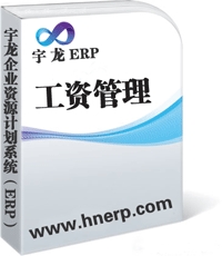 宇龙ERP-工资管理