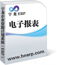 宇龙ERP-电子报表